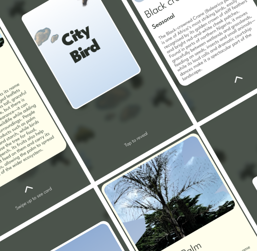 City Bird: The App project preview